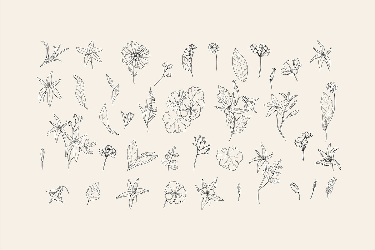 Cosmetic herbs, a Decorative Illustration by Merfin (Photo 2 of 6)