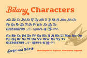 The Bilany - Display Font Duo, a Script Font by Letterhend Studio (Thumbnail 5 of 9)