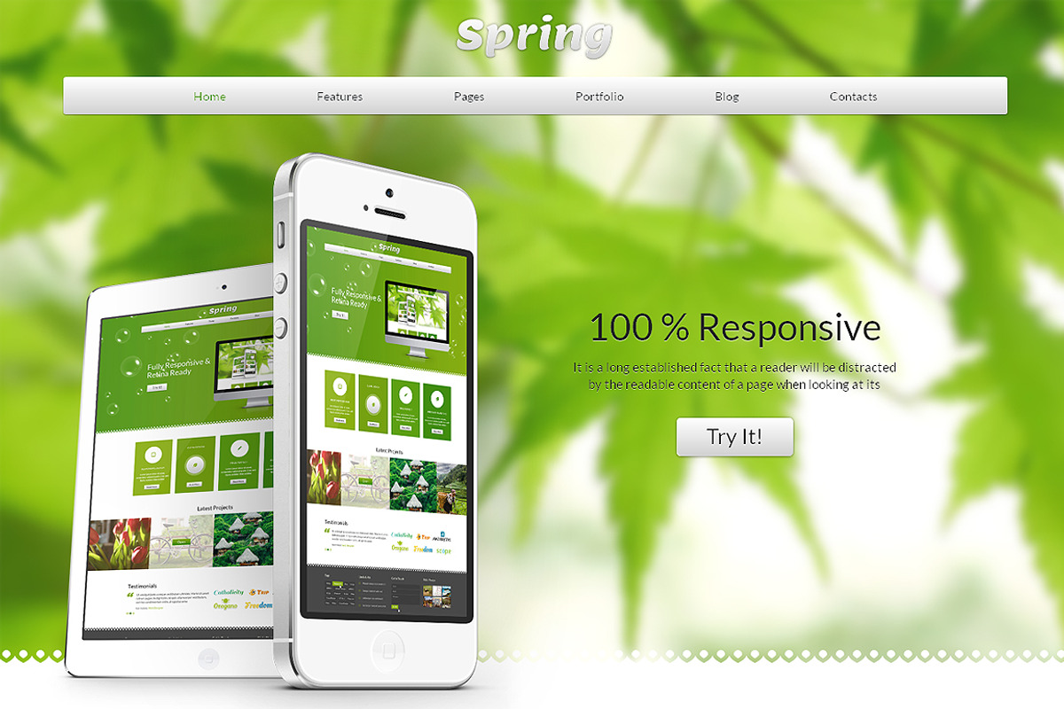 Spring Bootstrap Responsive Theme, a Bootstrap Template by IceTemplates (Photo 1 of 3)