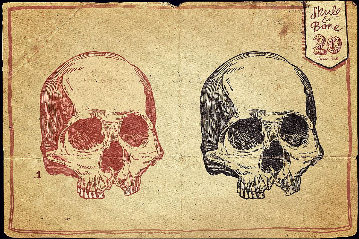 Vintage Skull and Bone Vector pack, an Illustration by Itsmesimon (Photo 2 of 11)