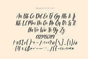 Strike - Modern Script Font, a Script Font by skiiller studio (Thumbnail 6 of 9)