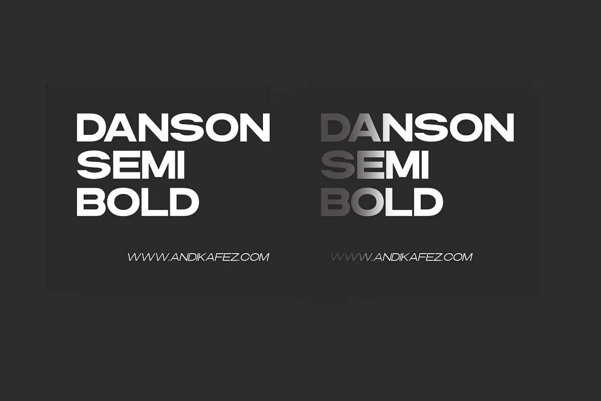 Danson Modern Logo Font Family, a Sans Serif Font by Andika Fez (Photo 3 of 10)