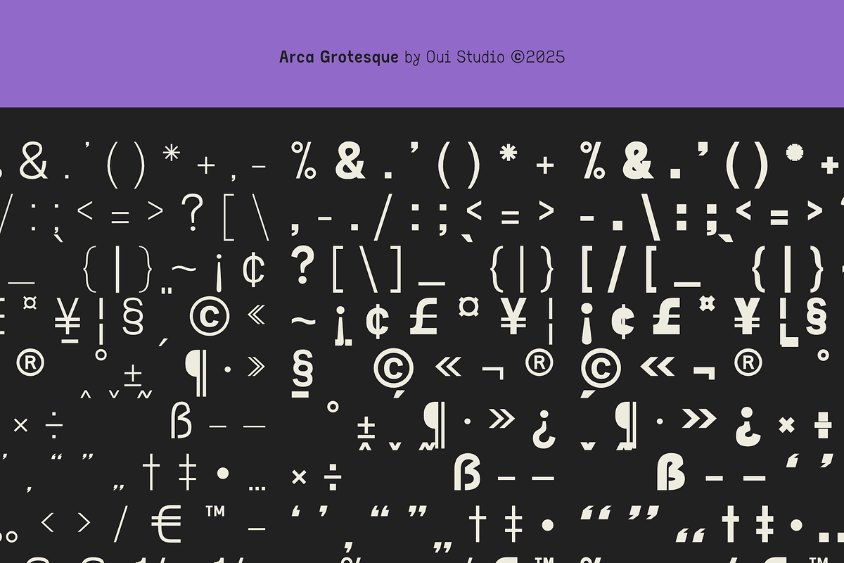 Arca Grotesque Modern Sans Serif, a Sans Serif Font by Oui Studio (Photo 9 of 10)