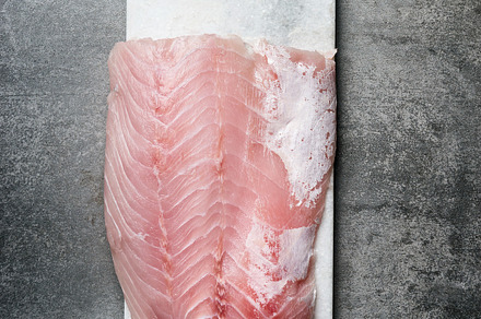 Raw fish fillet, a Food & Drink Photo by VICUSCHKA