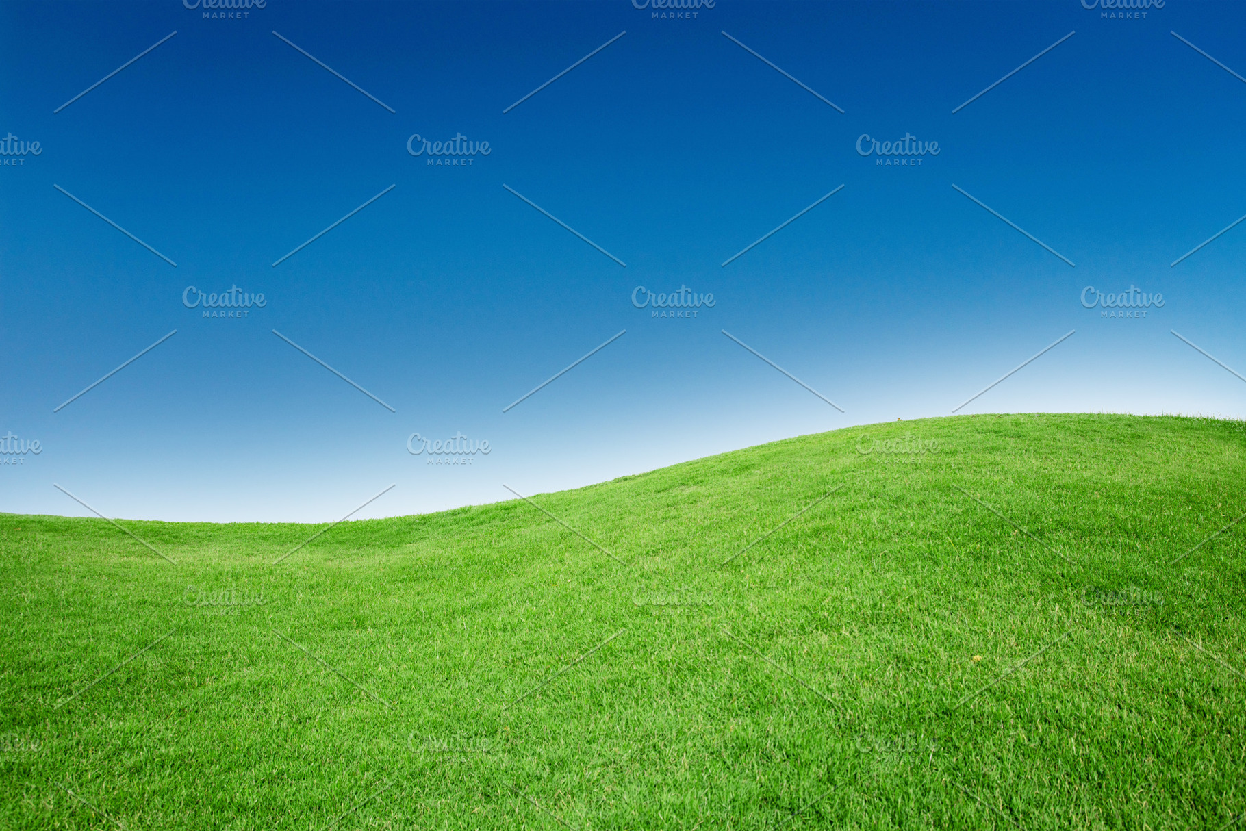 Grass texture with blue sky containing abstract, background, and beautiful, a Nature Photo by charnsitr