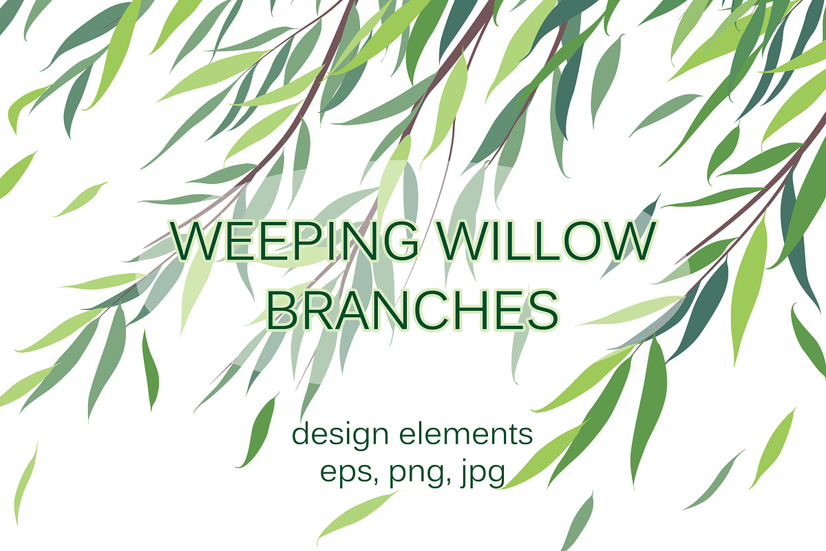 Weeping Willow Branches, a Decorative Illustration by Valentyna Smordova (Photo 1 of 7)