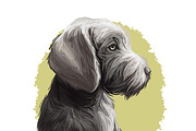 Puppies Dog Breeds Big Bundle 135Pcs, an Animal Illustration by Dneprstock (Thumbnail 59 of 68)