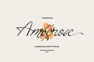 Amberose - Handdrawn Script