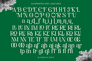 Blomenia, a Serif Font by Zaloma Studio (Thumbnail 17 of 18)