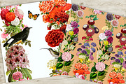 Vintage summer Seamless Patterns, a Pattern Graphic by NastiaDesignsPrints (Thumbnail 8 of 8)