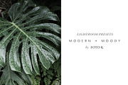 Modern + Moody Lightroom Presets, an Action Add-On by Foto Rx Co. (Thumbnail 1 of 17)