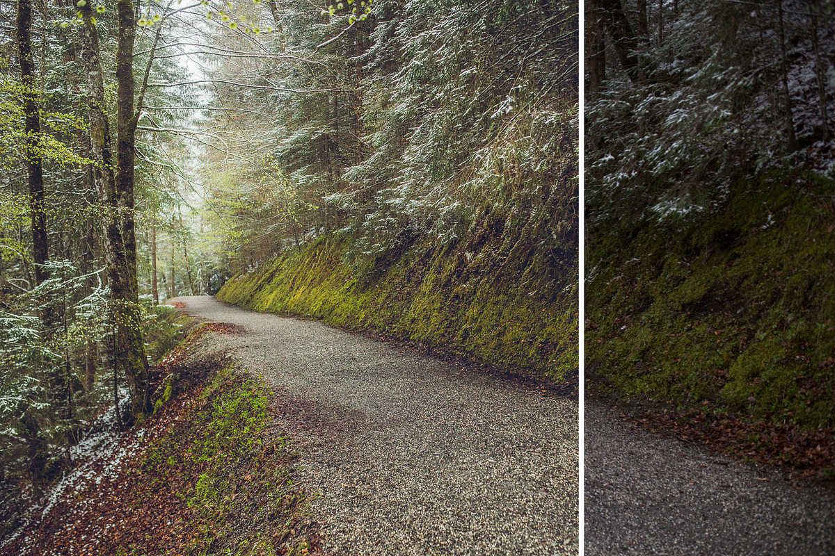 MILLION OF GREEN-Set of 20presets Lr, an Action Add-On by Graphics, Presets, Photos (Photo 12 of 21)