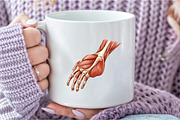 Antique Anatomy Overlays Set, an Illustration by DreamCafeArt (Thumbnail 5 of 7)