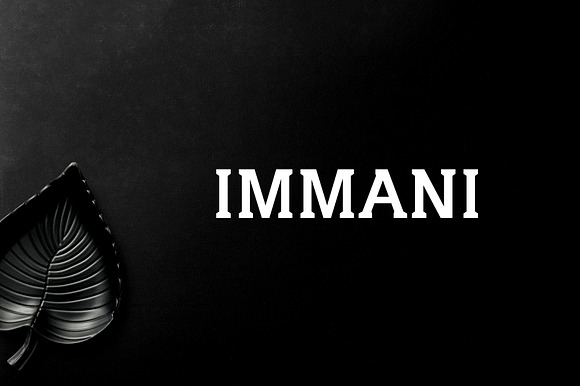 Immani 2 Font Family Pack preview 7