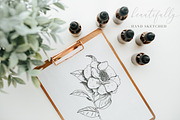 Watercolor Clipart Bundle, an Illustration by The Autumn Rabbit Ltd (Thumbnail 10 of 26)