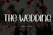 Special Bundle, a Sans Serif Font by FreshTypeINK (Thumbnail 5 of 7)