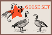 Farm animals collection, a Graphic by IPVector (Thumbnail 7 of 7)