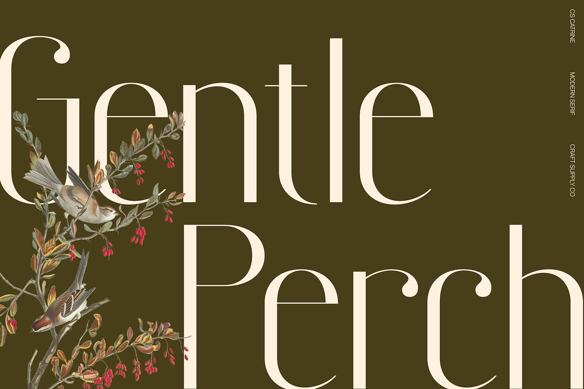 CS Catrine – Modern Sans Serif Font, a Sans Serif Font by Craft Supply Co. (Photo 6 of 8)