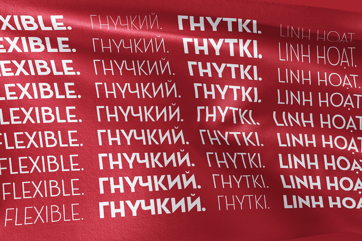 Ace Sans Variable Font, a Sans Serif Font by FactoryType Studio (Photo 6 of 11)