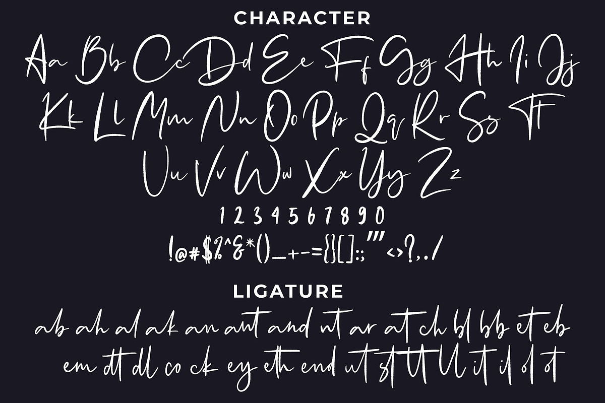 Santique Signature Script Font preview 6
