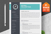 Resume/CV Bundle | 200+ for $29, a Resume Template by ResumeInventor (Thumbnail 117 of 207)