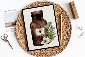 Apothecary Herb Illustrations