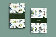 Watercolor Houseplant Collection, an Illustration by Sweet Fig (Thumbnail 6 of 8)