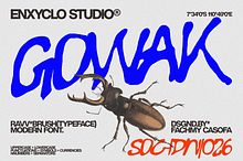 GOWAK — Raw Font