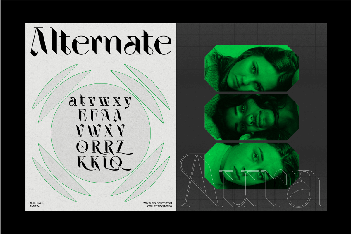 ELGISTA, a Serif Font by Bagerich Type Foundry (Photo 8 of 13)