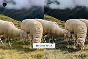The Dreamer – 8 Lightroom Presets, a Preset Add-On by SHOOM HOUSE (Thumbnail 7 of 11)