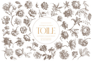 Antique Floral Toile Patterns