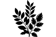 Botanical Leaf Silhouette, an Object Graphic by Creativeshirt (Thumbnail 2 of 19)