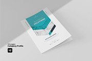 Company Profile for Indesign, a Brochure Template by Imagination Area (Thumbnail 1 of 13)