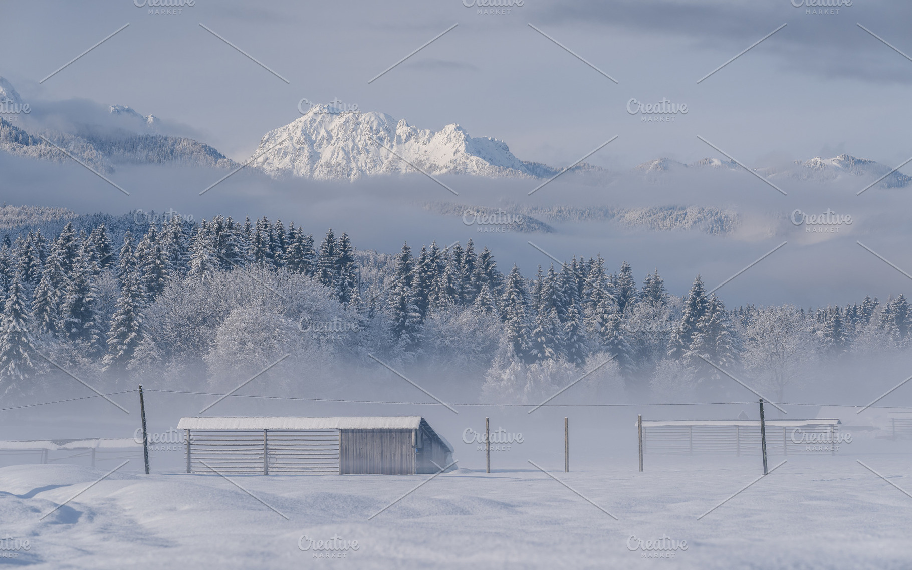 Winter morning in the forest and mountains, a Nature Photo by Dreamy Pixel