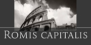 Romis, a Serif Font by Finaltype (Thumbnail 15 of 22)