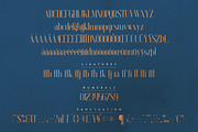 Elysian - serif font, a Serif Font by VP Fonts (Thumbnail 10 of 12)