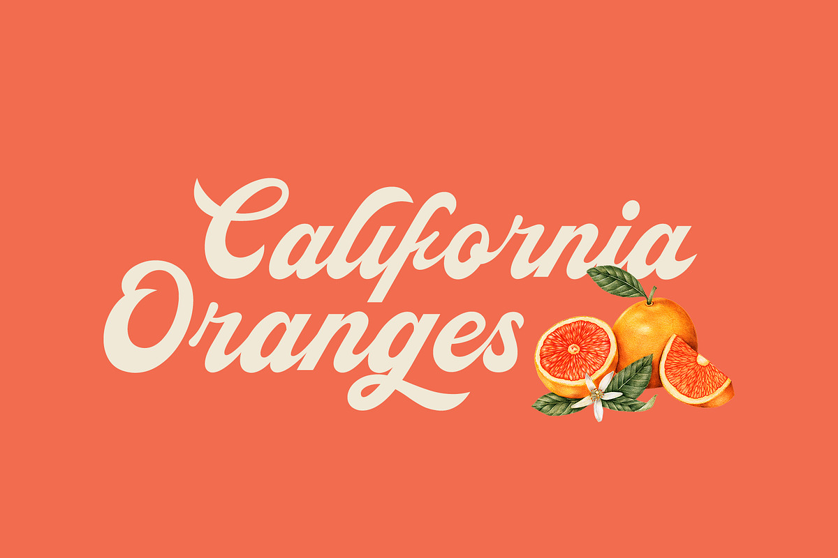 ED Ashglen Script, a Script Font by Emyself Design (Photo 5 of 11)