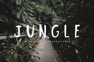 Jungle Display Font, a Script Font by Nadezda