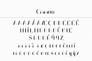 Louis Carpe Modern Display, a Font by infernostudio3 (Thumbnail 10 of 10)