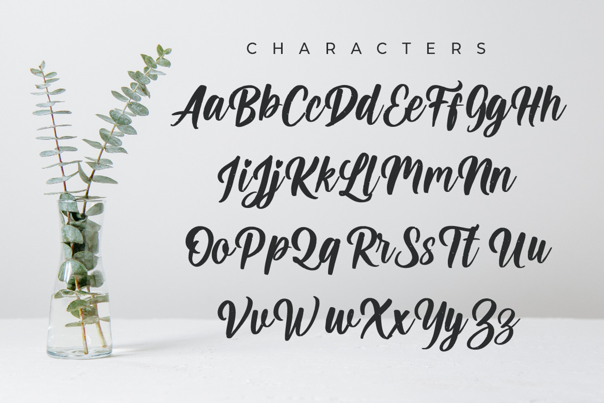 Modern Calligraphy - Ayunda Script, a Script Font by Debut Studio (Photo 8 of 10)