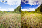 10 Landscape Lightroom Presets, a Preset Add-On by EzDigitals (Thumbnail 4 of 4)