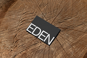 FORMAT EDEN BUSINESSCARD 12