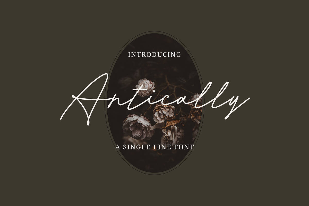 Antically - a Single Line Font, a Script Font by Ali Hamidi (Photo 1 of 9)