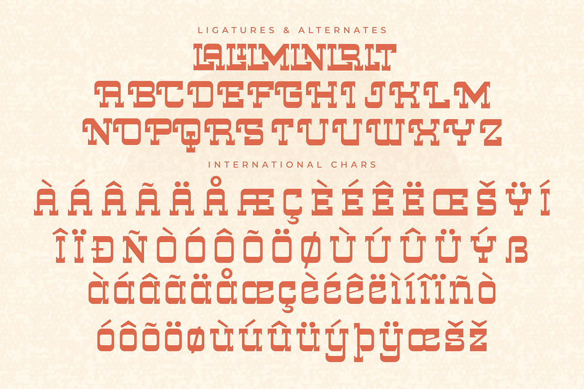 Trails Nights Display Slab Serif, a Serif Font by Letterena Studios (Photo 13 of 14)