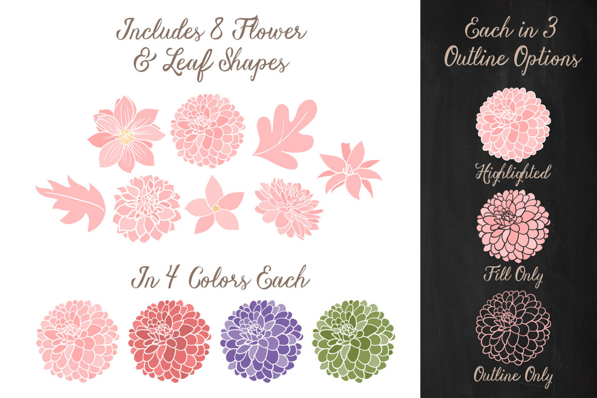 Wildflower Clipart & Vectors, an Illustration by Amanda Ilkov (Photo 3 of 4)