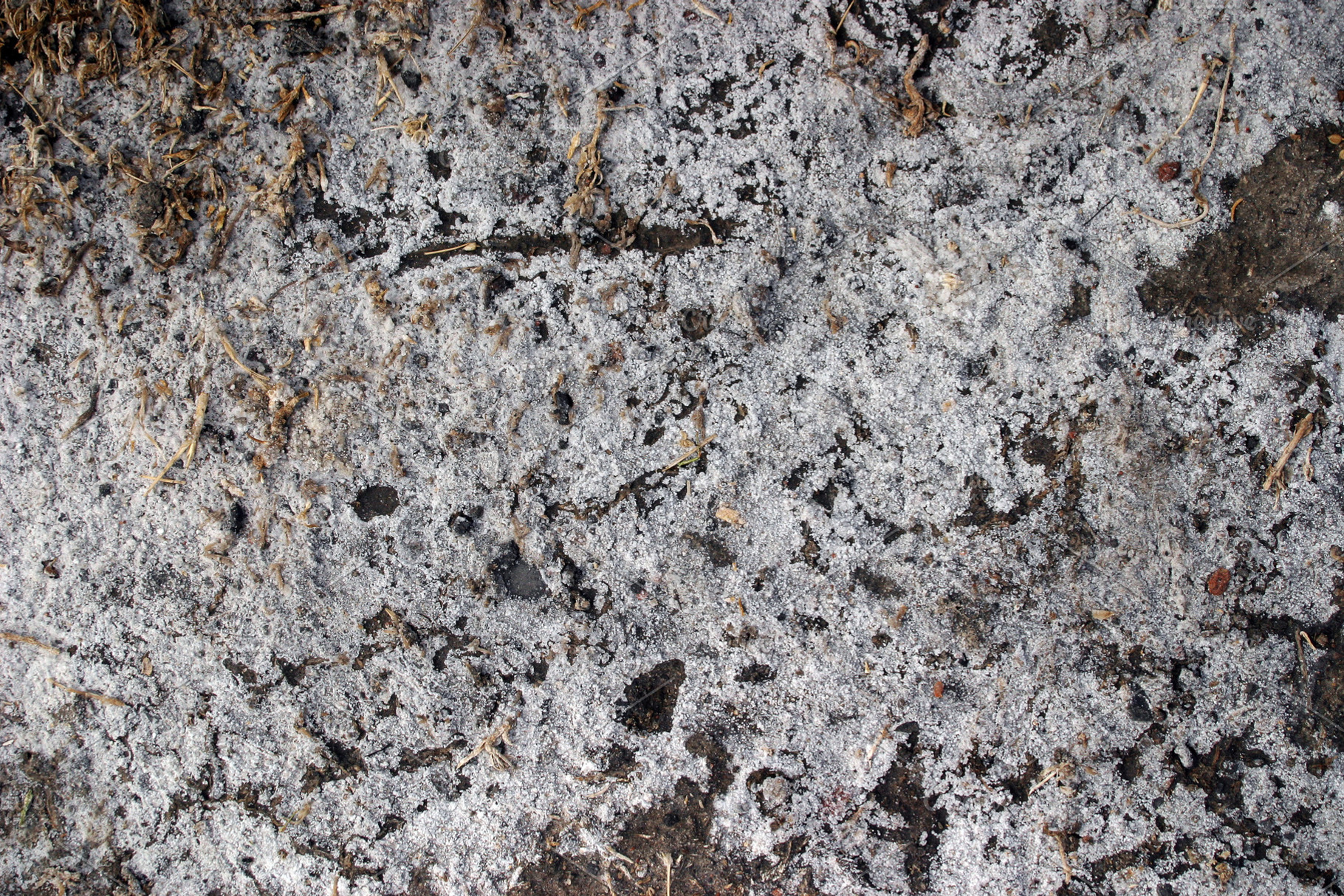 gravel grunge background, a Photo by saiko3p