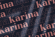Karina Elegant Serif Font, a Serif Font by Graphicxell (Thumbnail 9 of 10)