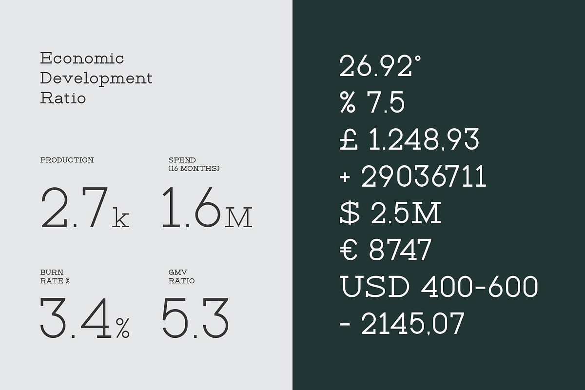 Rante Contact, a Slab Serif Font by takoliko (Photo 5 of 12)