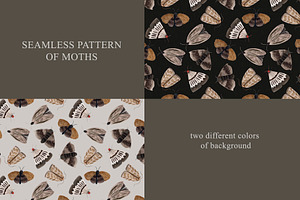 Seamless Pattern Of Moths