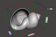 7 Shell Planter for 3D Printing, an Object 3D Model by Kseniya-Omega (Thumbnail 5 of 17)